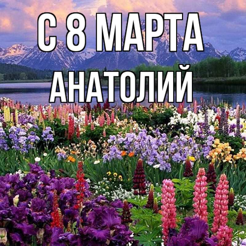 Картинка C 8 МАРТА, Анатолий
