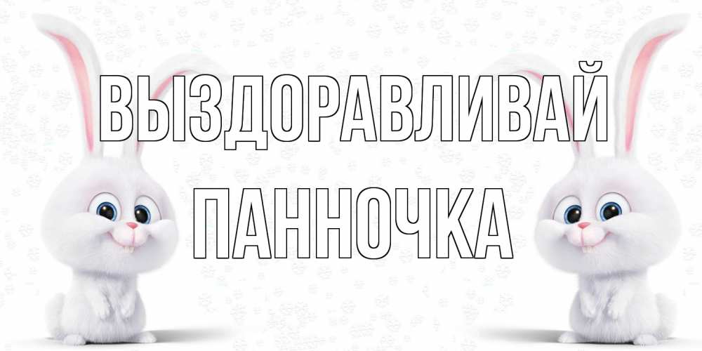 Открытка на каждый день с именем, Панночка Выздоравливай не болей с зайцем Прикольная открытка с пожеланием онлайн скачать бесплатно 