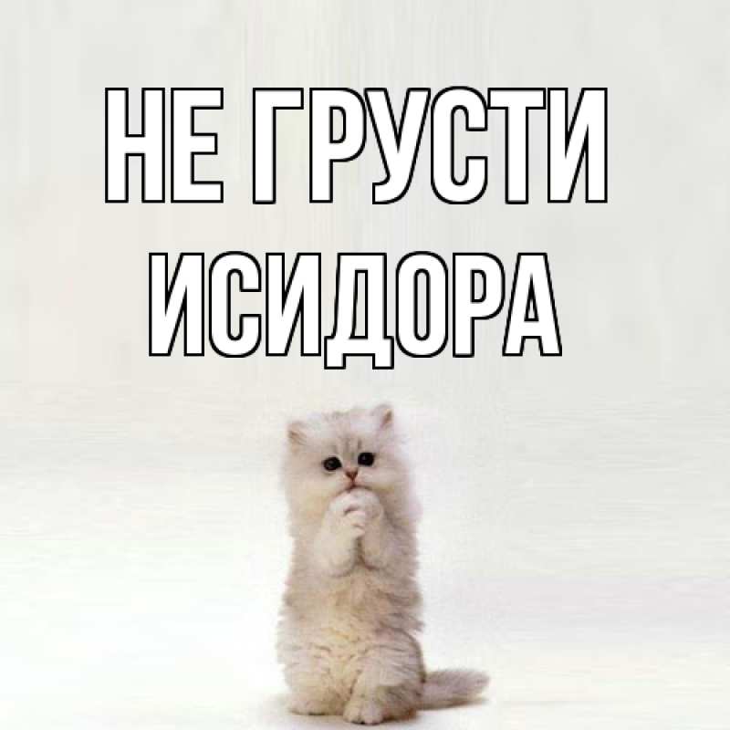 Картинка Не грусти, Исидора