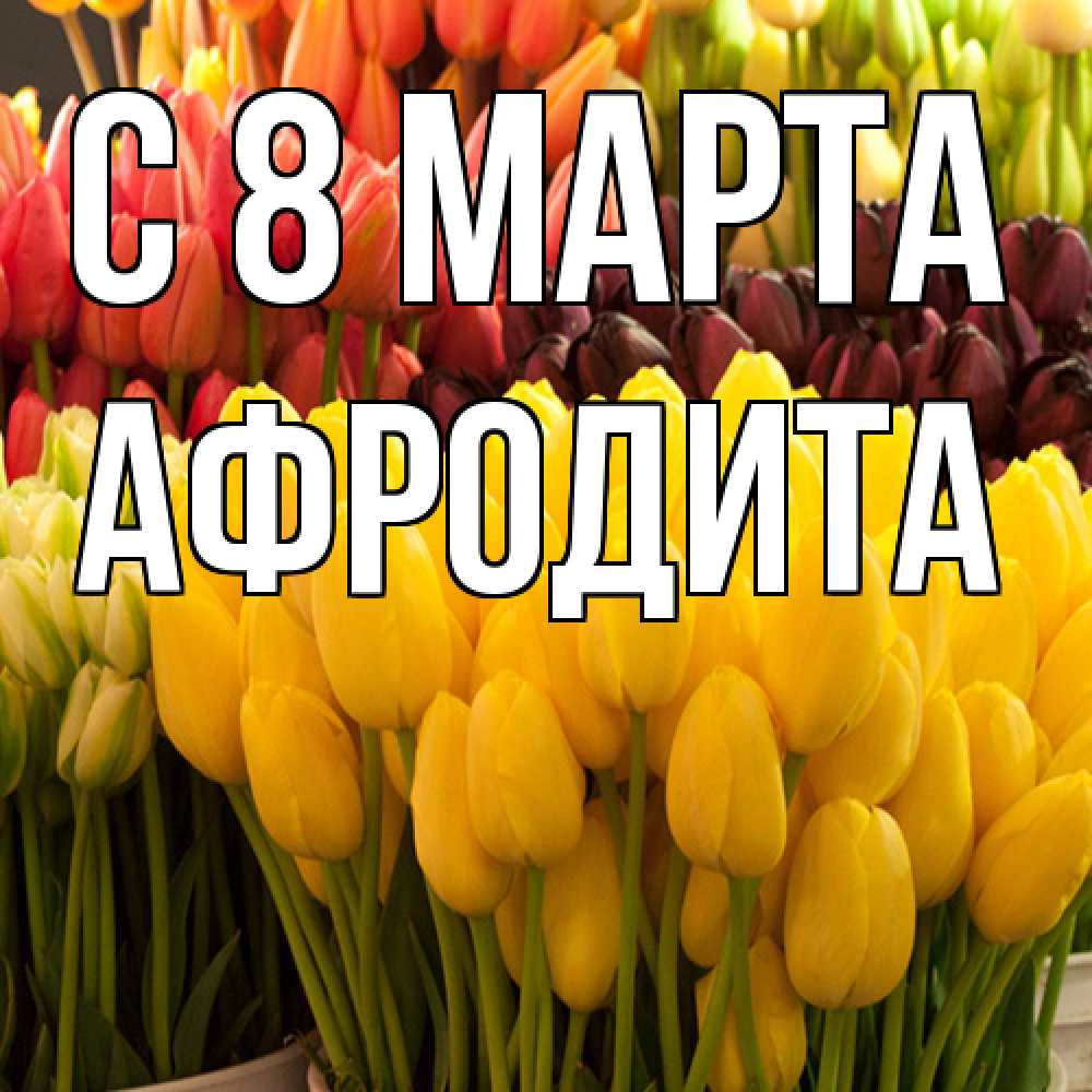 Открытка на каждый день с именем, Афродита C 8 МАРТА цветы Прикольная открытка с пожеланием онлайн скачать бесплатно 