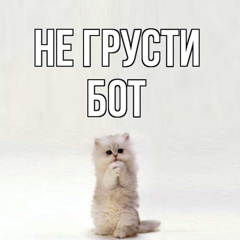 Картинка Не грусти, Бот