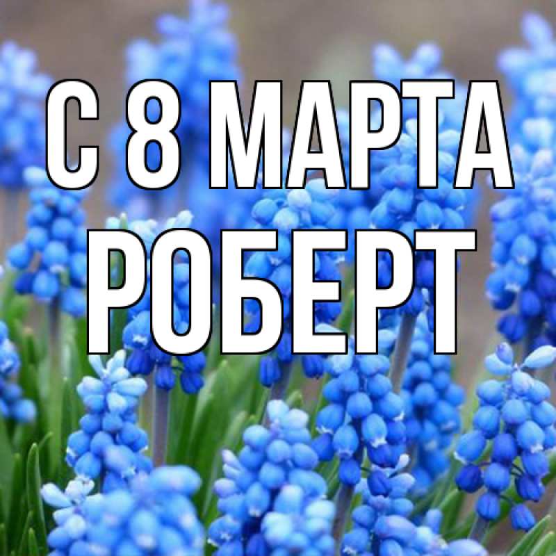 Картинка C 8 МАРТА, Роберт