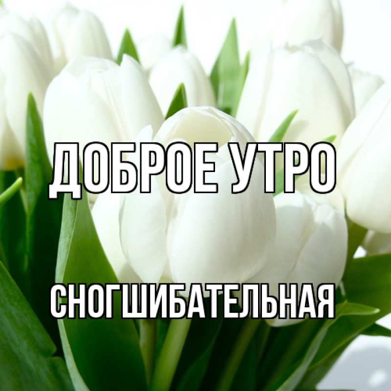 Картинка Доброе утро, Сногшибательная