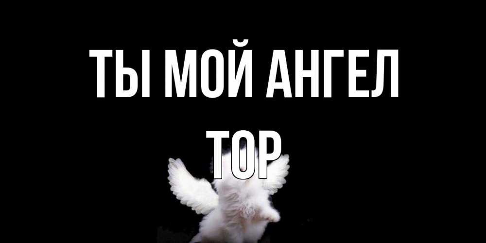Открытка на каждый день с именем, Тор Ты мой ангел Кот ангел Прикольная открытка с пожеланием онлайн скачать бесплатно 