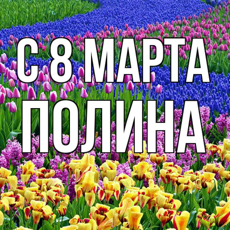 Картинка C 8 МАРТА, полина