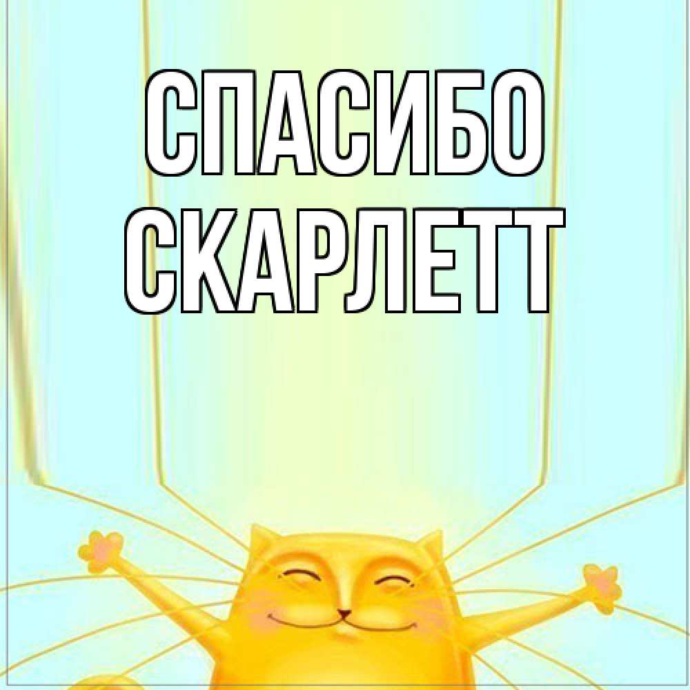 Открытка на каждый день с именем, Скарлетт Спасибо кот с усами благодарит Прикольная открытка с пожеланием онлайн скачать бесплатно 
