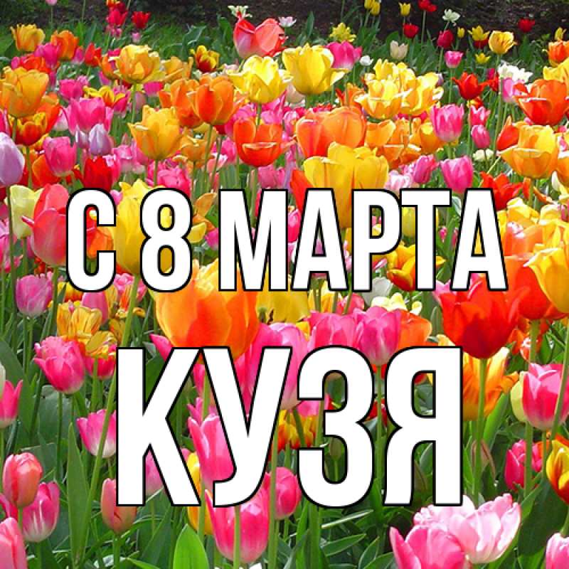 Картинка C 8 МАРТА, Кузя