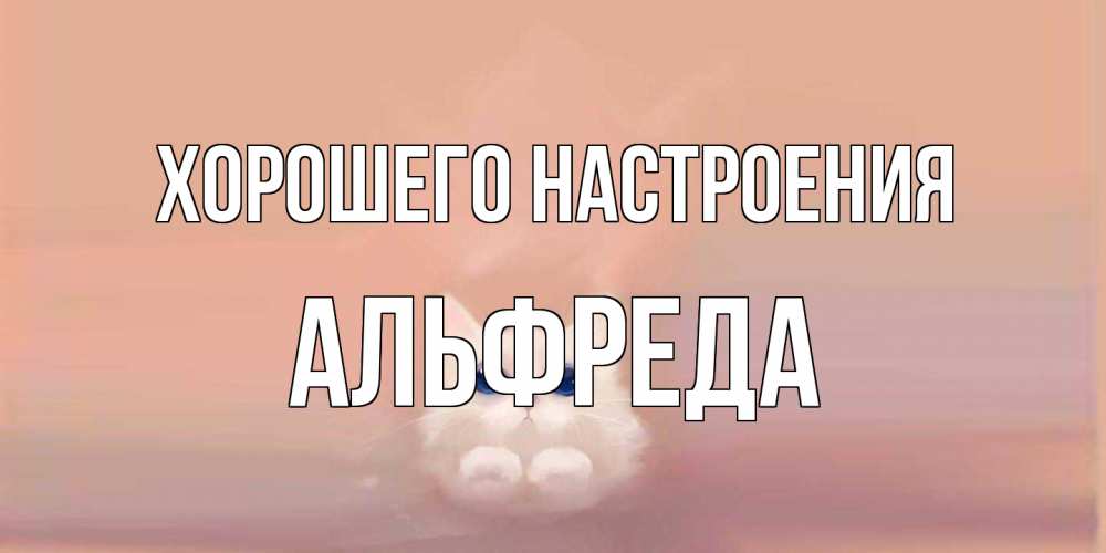 Открытка на каждый день с именем, Альфреда Хорошего настроения кошка Прикольная открытка с пожеланием онлайн скачать бесплатно 