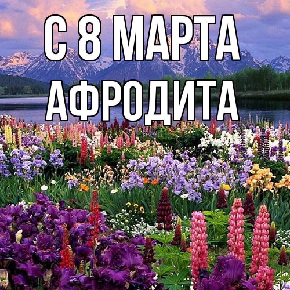 Открытка на каждый день с именем, Афродита C 8 МАРТА международный женский день Прикольная открытка с пожеланием онлайн скачать бесплатно 