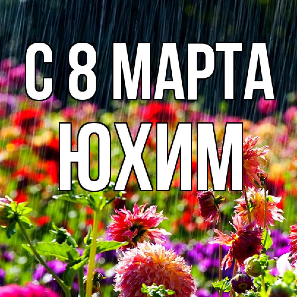 Открытка на каждый день с именем, Юхим C 8 МАРТА цветы под дождиком к международному женскому дню Прикольная открытка с пожеланием онлайн скачать бесплатно 