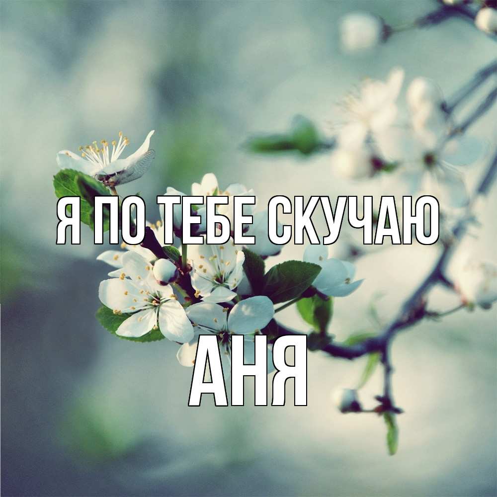 Открытка на каждый день с именем, Аня Я по тебе скучаю весна Прикольная открытка с пожеланием онлайн скачать бесплатно 