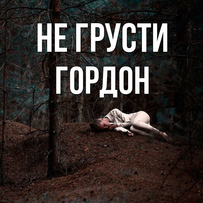Картинка Не грусти, Гордон
