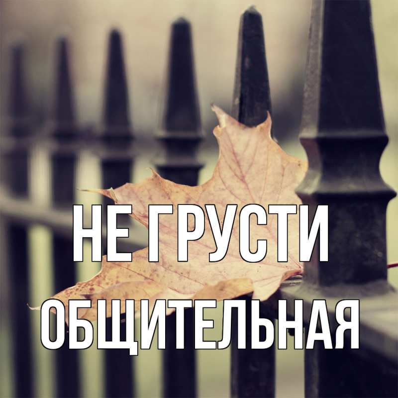 Картинка Не грусти, Общительная