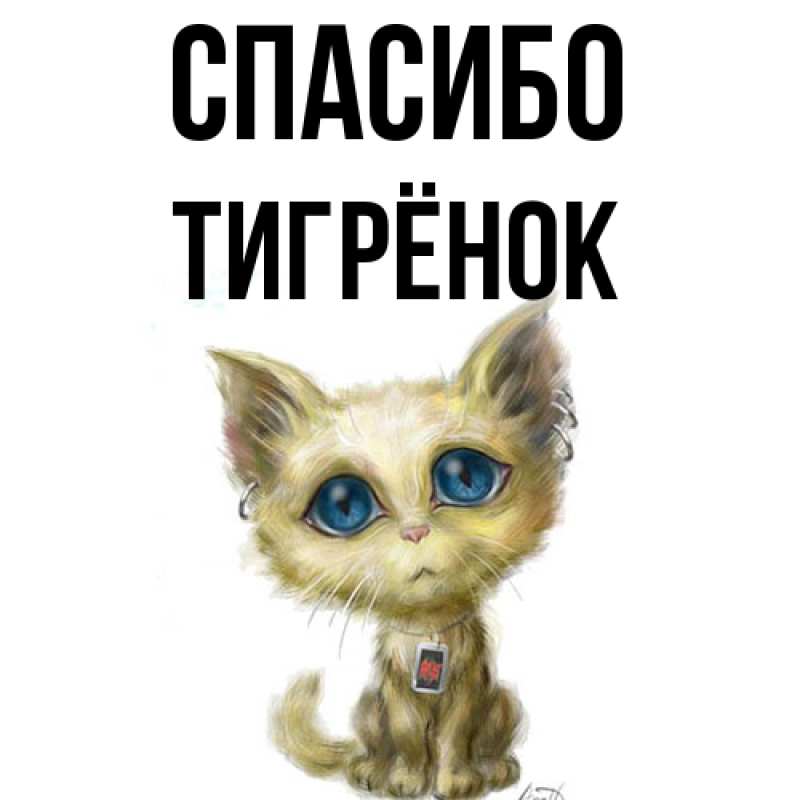 Картинка Спасибо, Тигрёнок