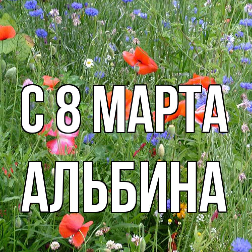 Открытка на каждый день с именем, Альбина C 8 МАРТА международный женский день 4 Прикольная открытка с пожеланием онлайн скачать бесплатно 