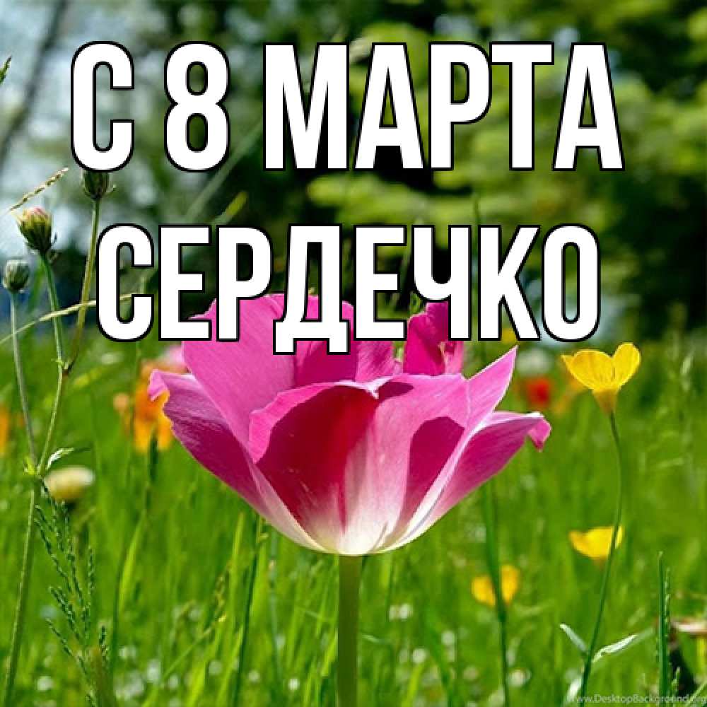 Открытка на каждый день с именем, сердечко C 8 МАРТА полевые цветы Прикольная открытка с пожеланием онлайн скачать бесплатно 
