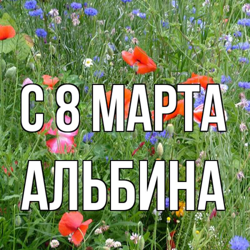 Картинка C 8 МАРТА, Альбина