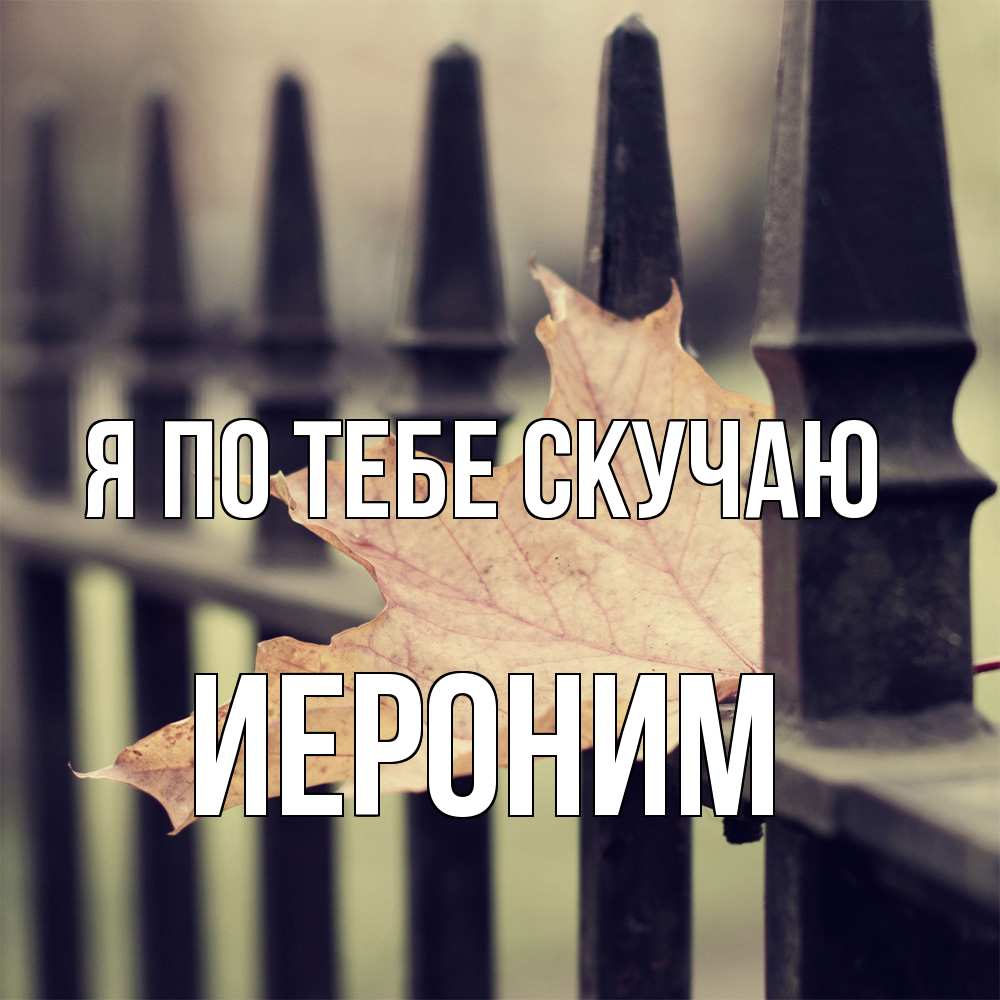 Открытка на каждый день с именем, Иероним Я по тебе скучаю очень скучно Прикольная открытка с пожеланием онлайн скачать бесплатно 