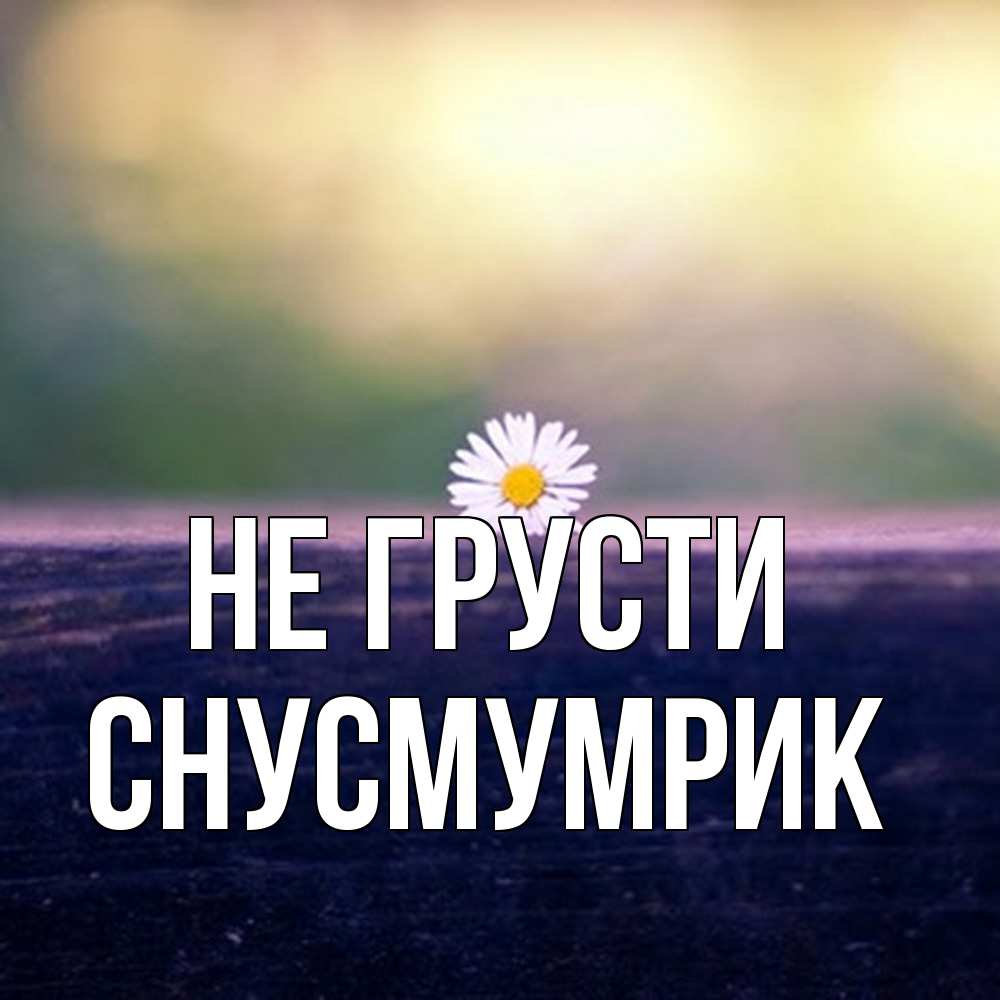 Открытка на каждый день с именем, Снусмумрик Не грусти красота Прикольная открытка с пожеланием онлайн скачать бесплатно 