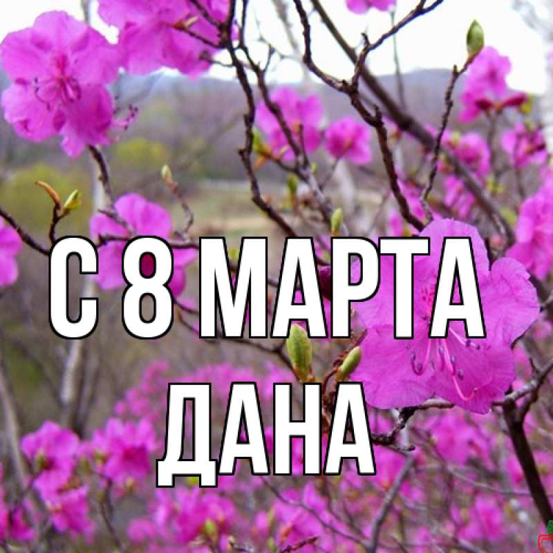 Картинка C 8 МАРТА, Дана
