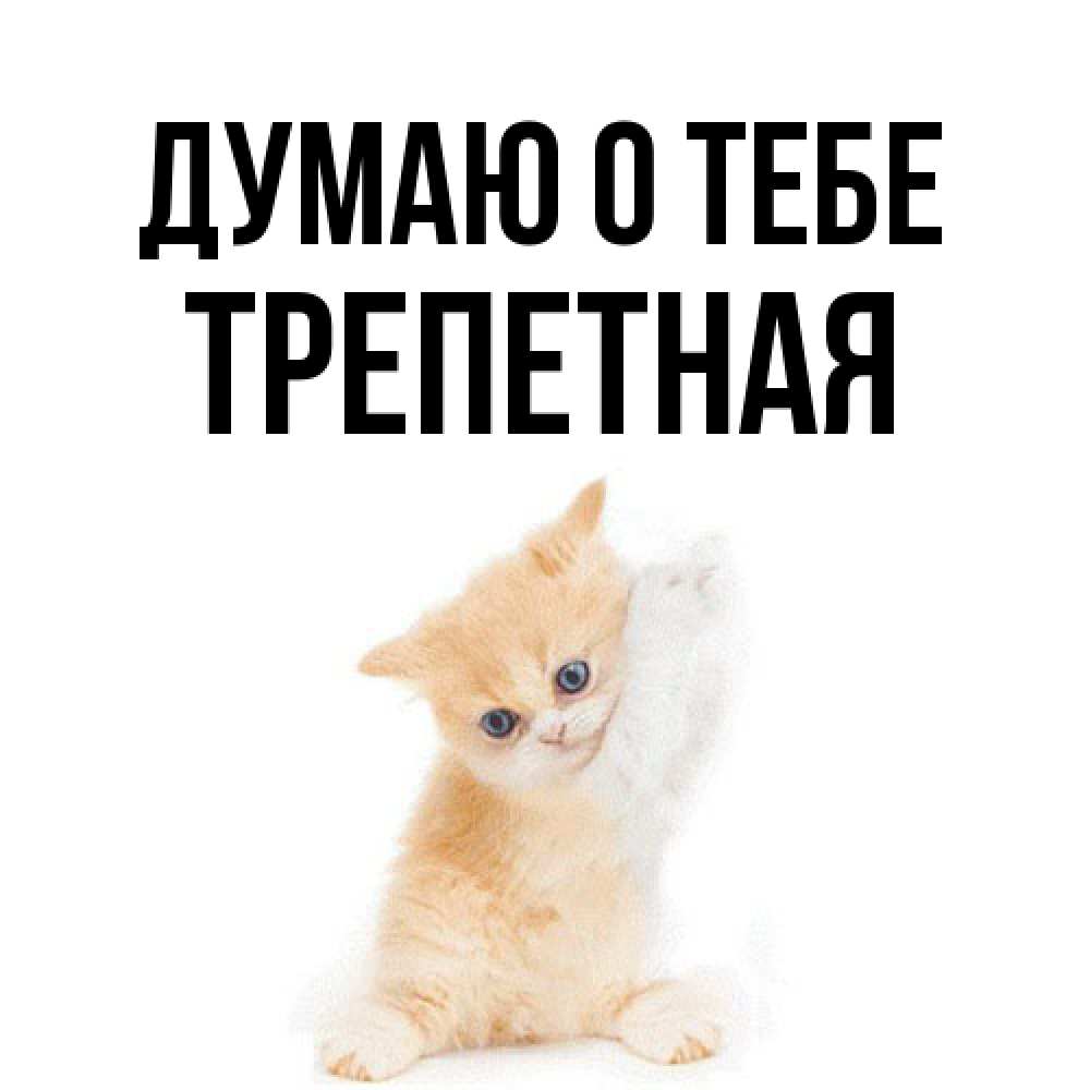 Открытка на каждый день с именем, Тpепетная Думаю о тебе зверушки и милота Прикольная открытка с пожеланием онлайн скачать бесплатно 