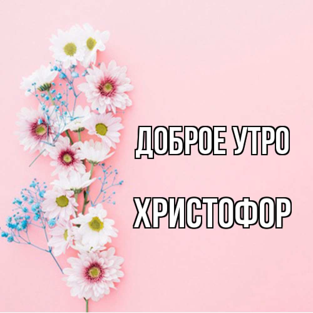 Открытка на каждый день с именем, Христофор Доброе утро цветы с подписью Прикольная открытка с пожеланием онлайн скачать бесплатно 