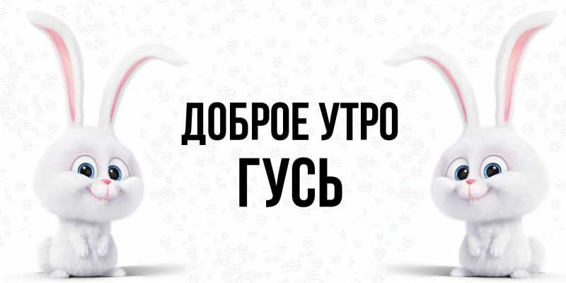 Картинка Доброе утро, Гусь
