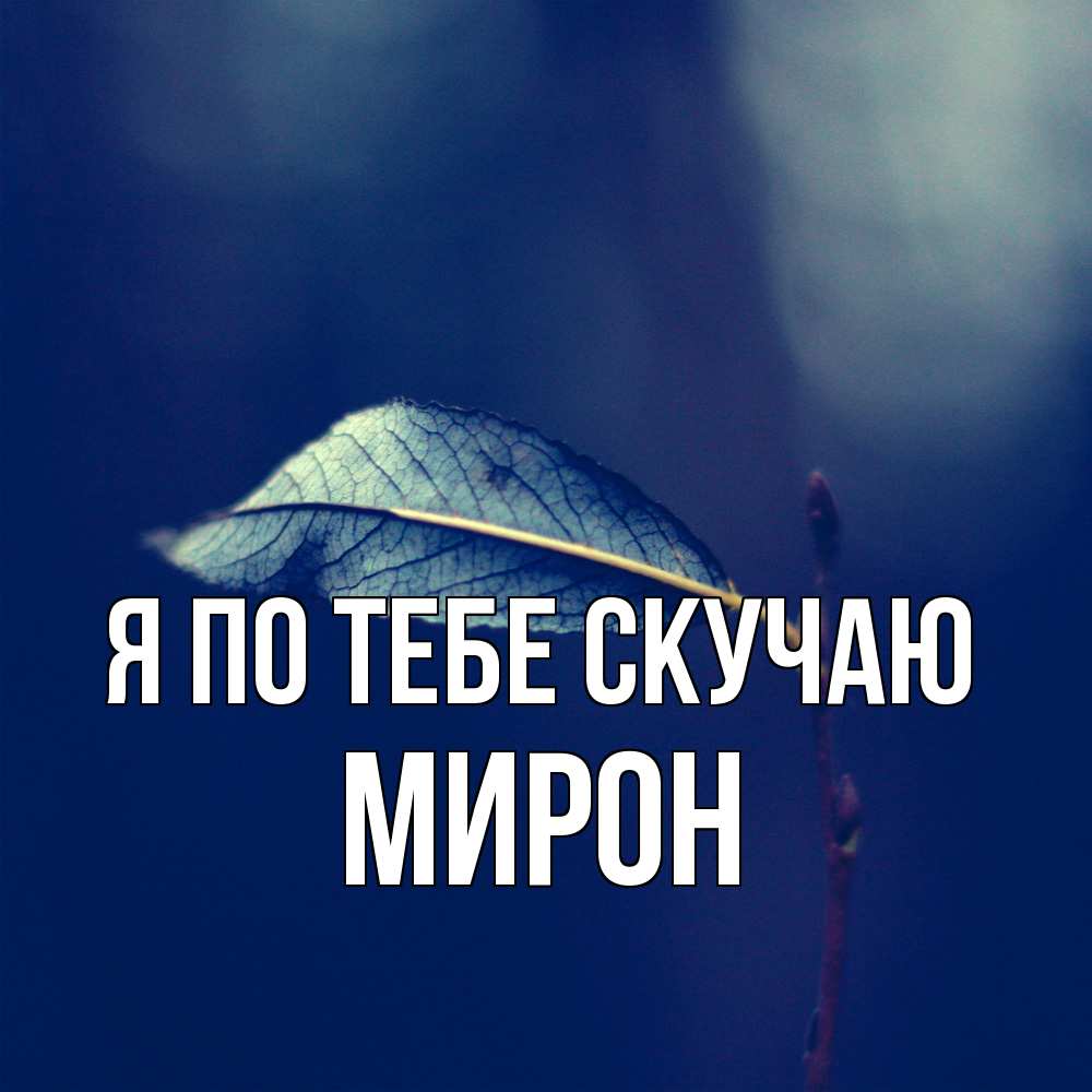 Открытка на каждый день с именем, Мирон Я по тебе скучаю одна ветка 1 Прикольная открытка с пожеланием онлайн скачать бесплатно 