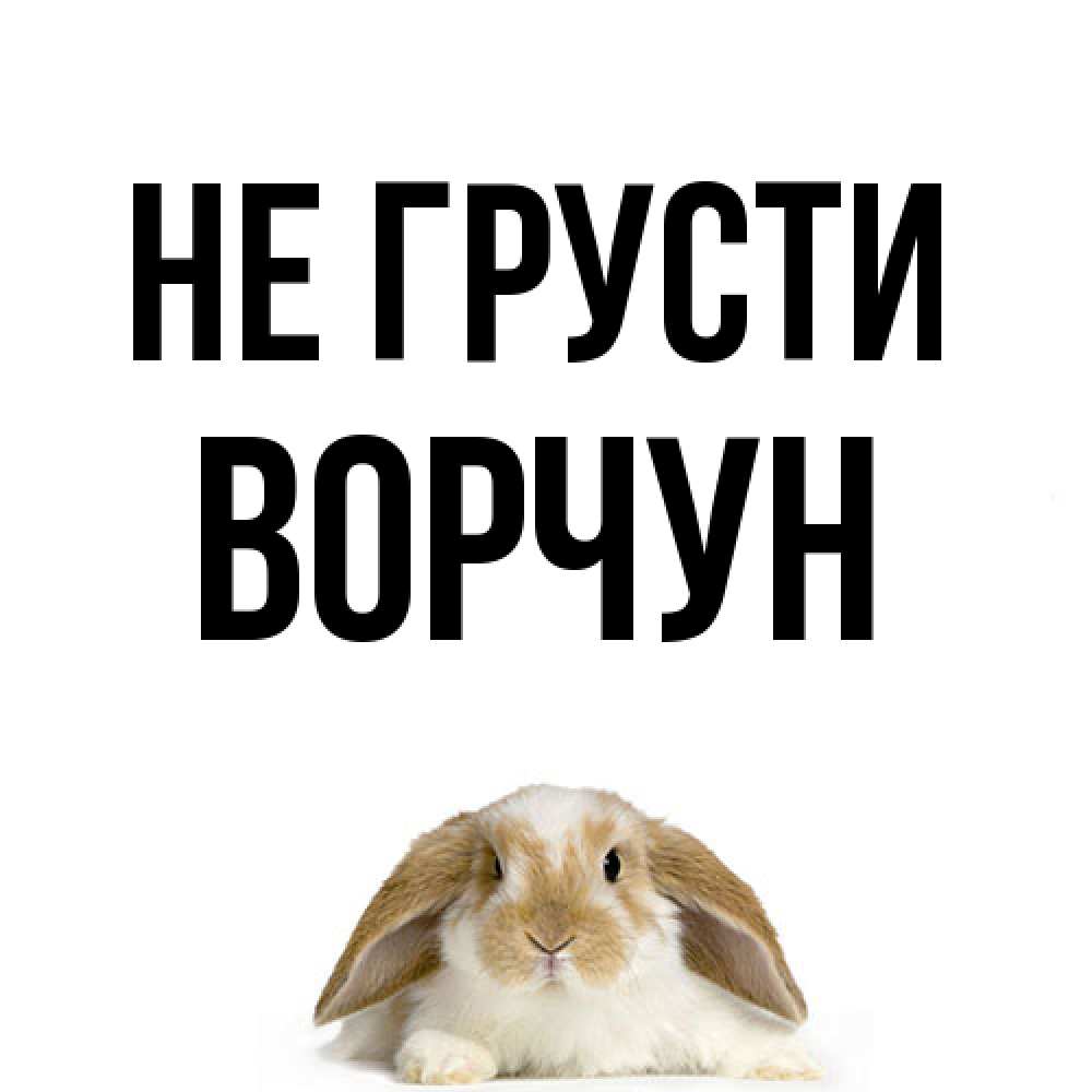 Открытка на каждый день с именем, Ворчун Не грусти коричнево белый заяц с большими ушками Прикольная открытка с пожеланием онлайн скачать бесплатно 
