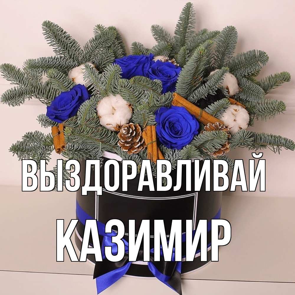 Открытка на каждый день с именем, Казимир Выздоравливай короче кто то загрузил эти шишки Прикольная открытка с пожеланием онлайн скачать бесплатно 