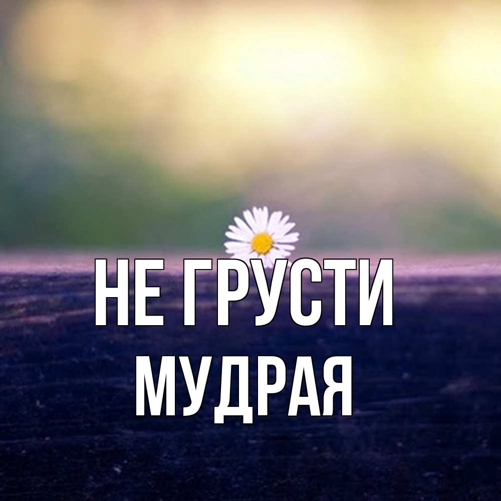 Открытка на каждый день с именем, Мудpая Не грусти красота Прикольная открытка с пожеланием онлайн скачать бесплатно 