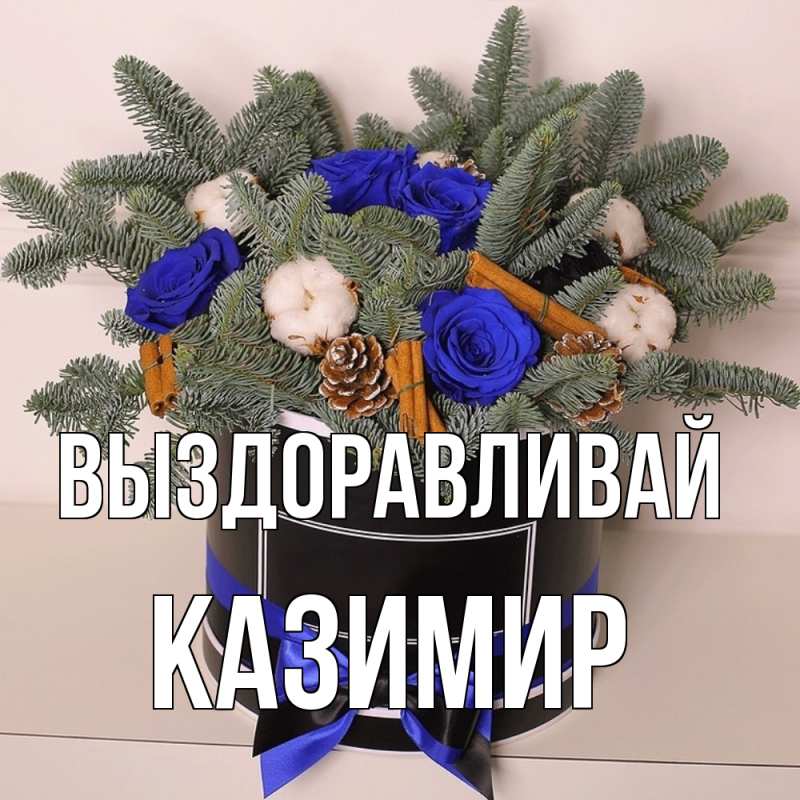 Картинка Выздоравливай, Казимир