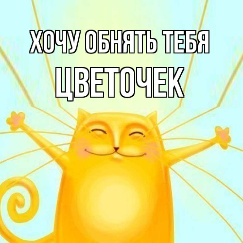 Картинка Хочу обнять тебя, Цветочек