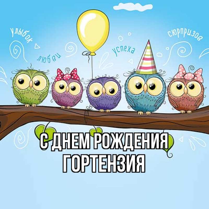 Картинка С днем рождения, Гортензия