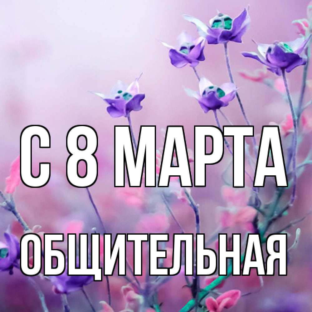 Открытка на каждый день с именем, Общительная C 8 МАРТА международный женский день 2 Прикольная открытка с пожеланием онлайн скачать бесплатно 