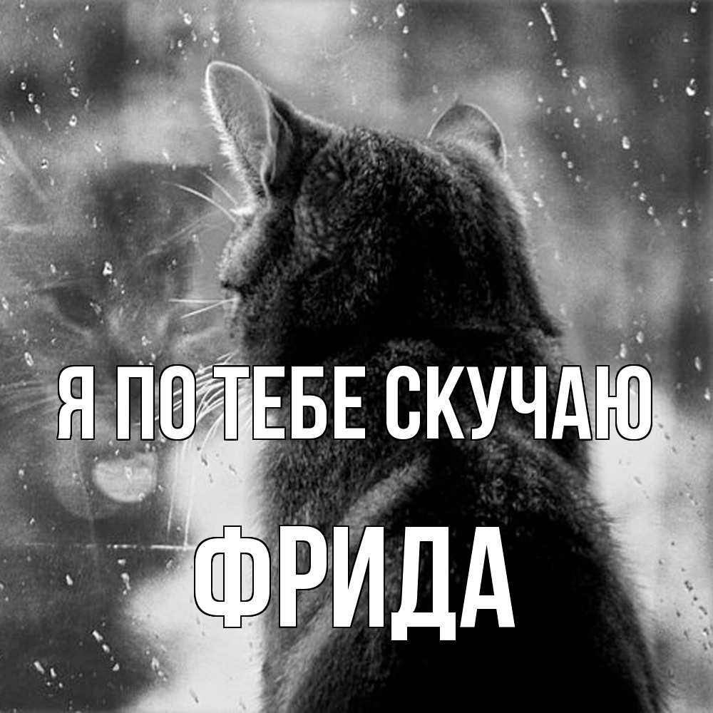 Открытка на каждый день с именем, Фрида Я по тебе скучаю скорее ко мне приходи 1 Прикольная открытка с пожеланием онлайн скачать бесплатно 