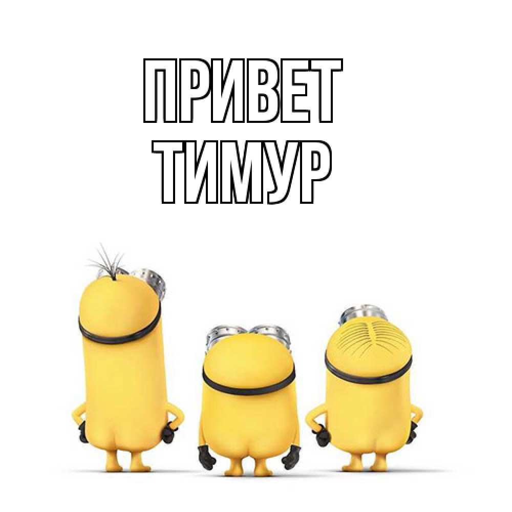 Открытка на каждый день с именем, Тимур Привет приветики Прикольная открытка с пожеланием онлайн скачать бесплатно 