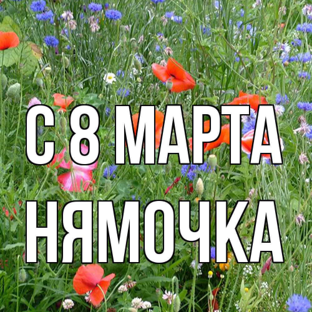 Открытка на каждый день с именем, нямочка C 8 МАРТА международный женский день 4 Прикольная открытка с пожеланием онлайн скачать бесплатно 