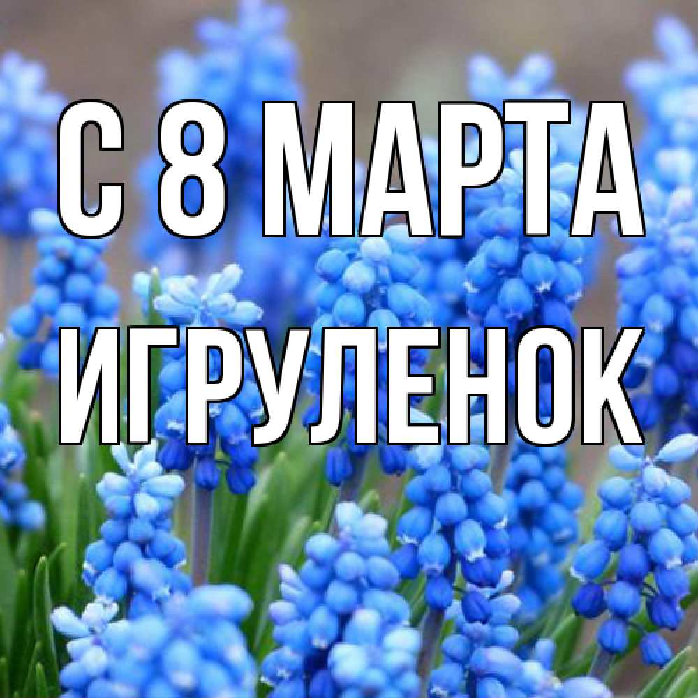 Открытка на каждый день с именем, Игpуленок C 8 МАРТА Поздравительная открытка для женщин с цветами на праздничную дату Прикольная открытка с пожеланием онлайн скачать бесплатно 