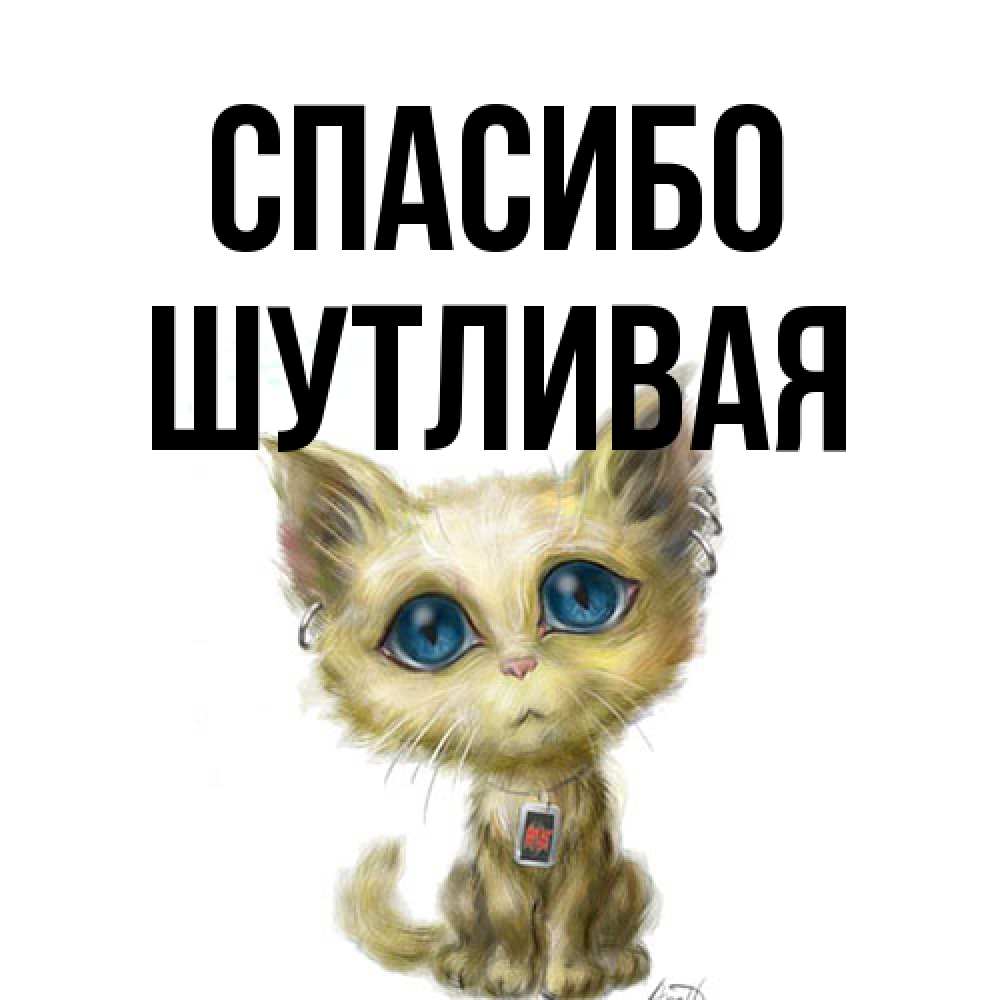 Открытка на каждый день с именем, Шутливая Спасибо рисованный кот благодарит вас Прикольная открытка с пожеланием онлайн скачать бесплатно 