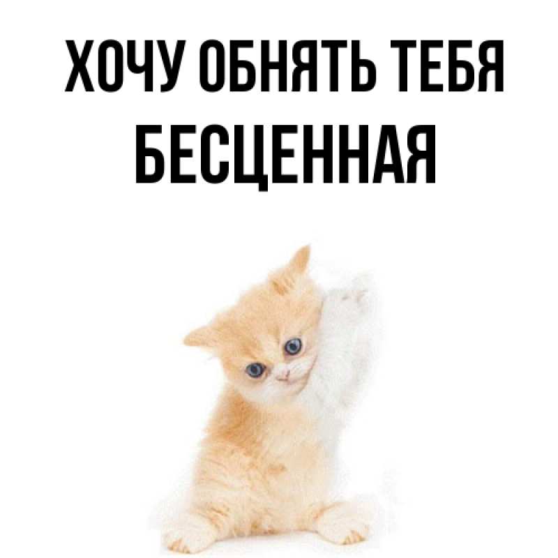 Картинка Хочу обнять тебя, Бесценная