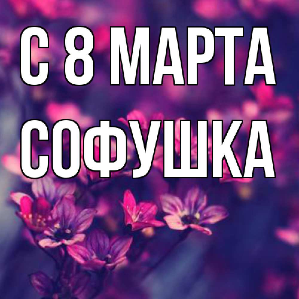 Открытка на каждый день с именем, Софушка C 8 МАРТА небольшие цветы 1 Прикольная открытка с пожеланием онлайн скачать бесплатно 