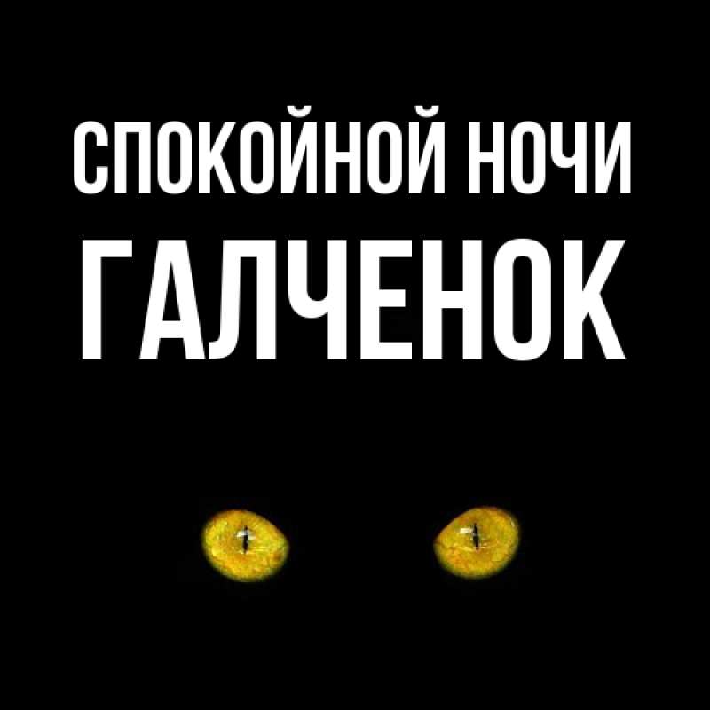 Картинка Спокойной ночи, Галченок