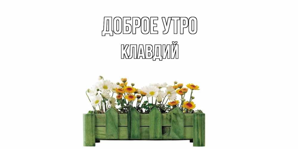 Открытка на каждый день с именем, Клавдий Доброе утро цветы Прикольная открытка с пожеланием онлайн скачать бесплатно 