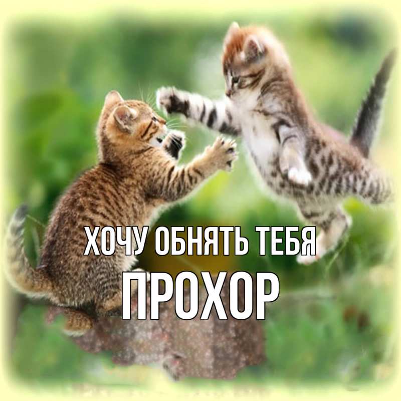 Картинка Хочу обнять тебя, Прохор