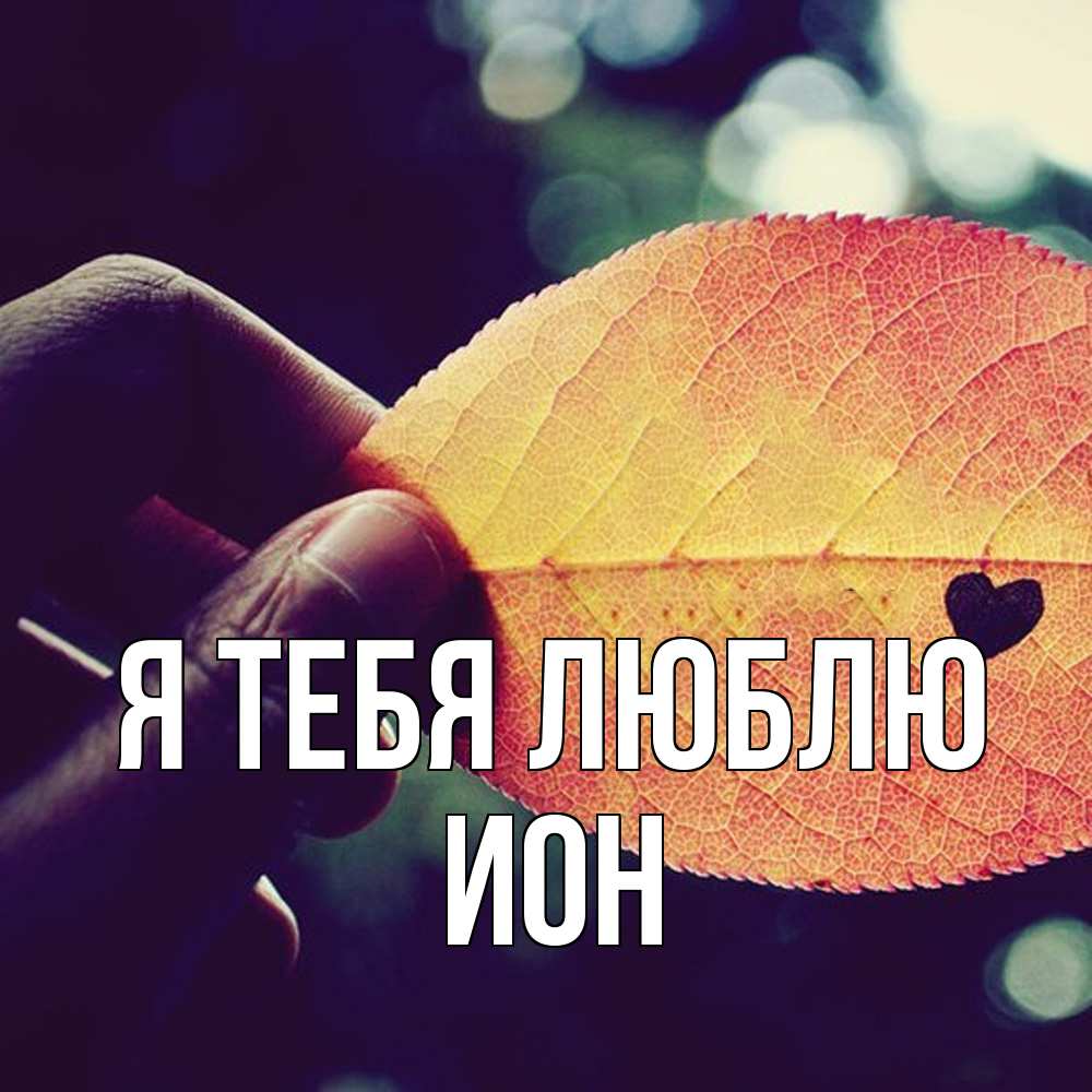 Открытка на каждый день с именем, Ион Я тебя люблю держу лист Прикольная открытка с пожеланием онлайн скачать бесплатно 