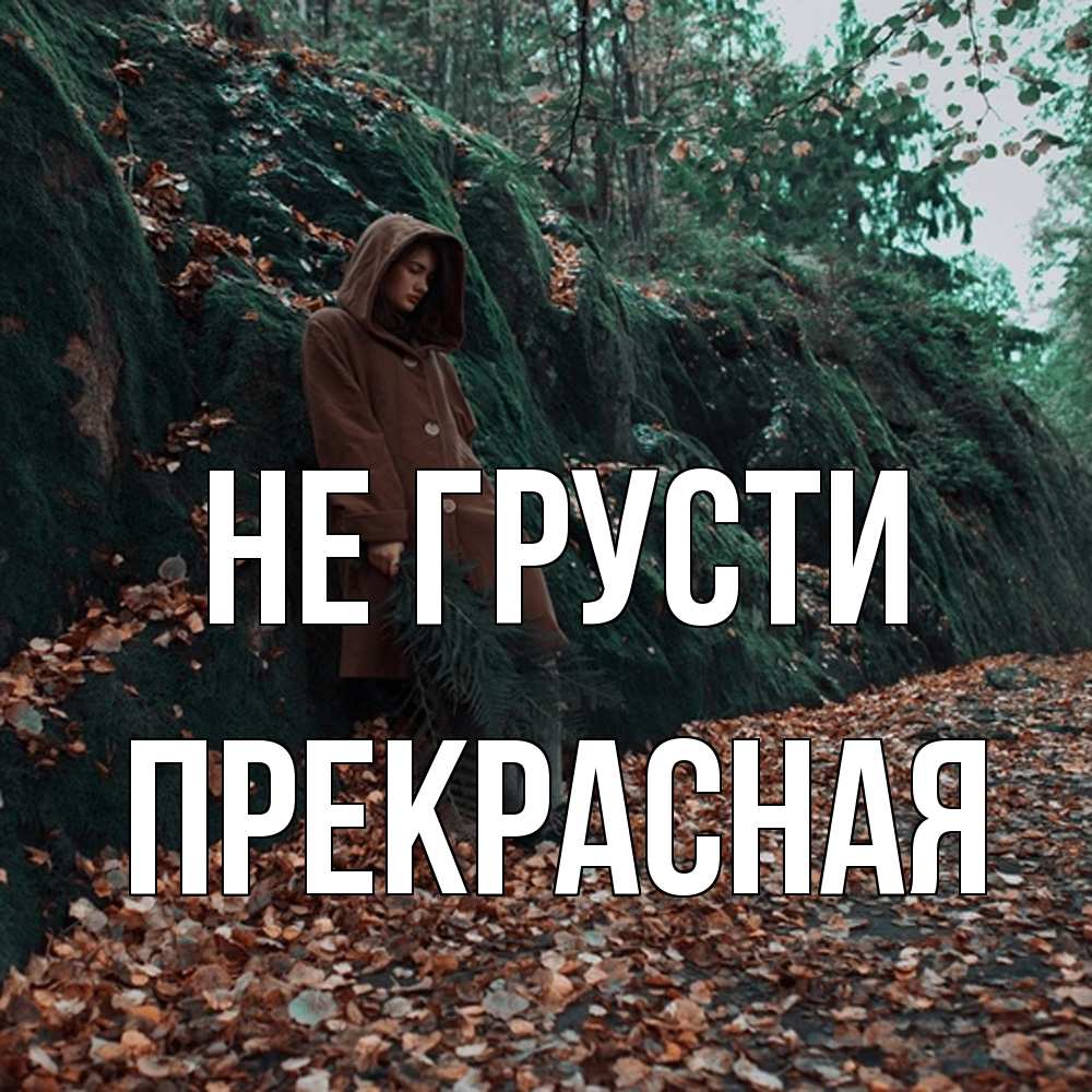 Открытка на каждый день с именем, Пpекpасная Не грусти осенний лес Прикольная открытка с пожеланием онлайн скачать бесплатно 