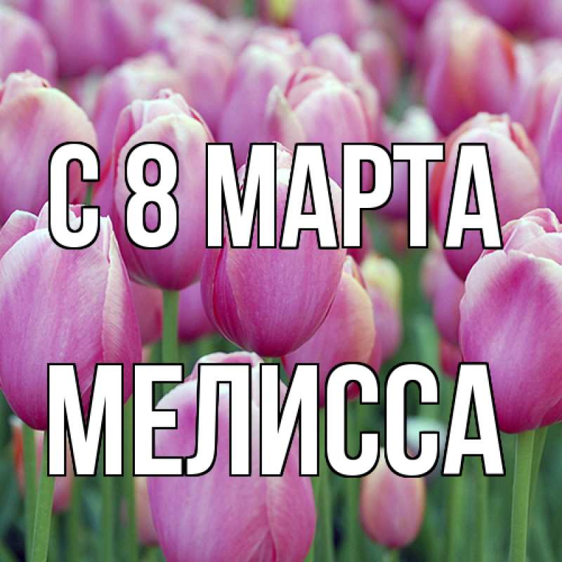 Картинка C 8 МАРТА, Мелисса