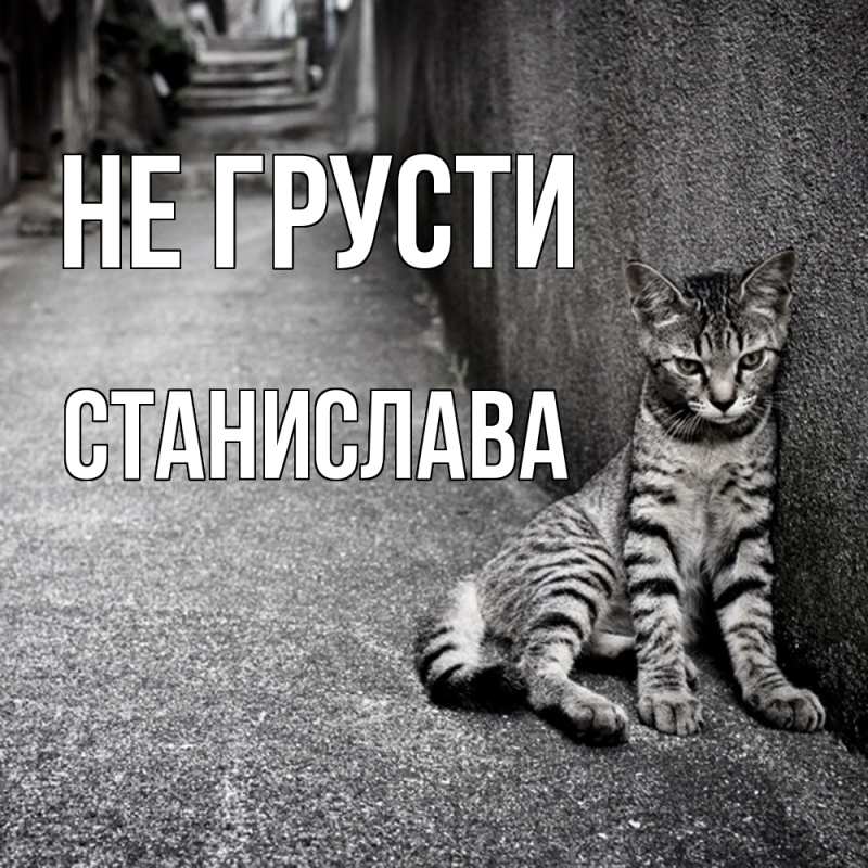 Картинка Не грусти, Станислава