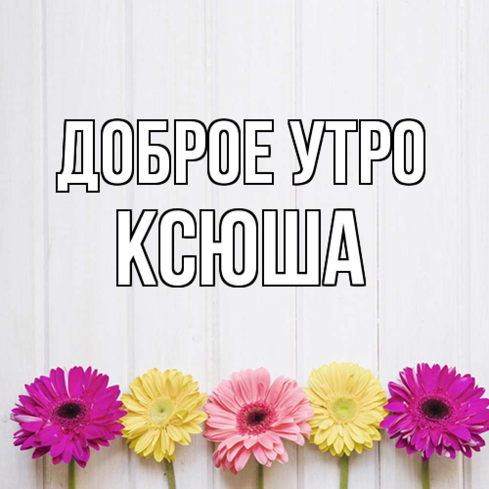 Открытка на каждый день с именем, Ксюша Доброе утро красный желтый и розовый цветок Прикольная открытка с пожеланием онлайн скачать бесплатно 